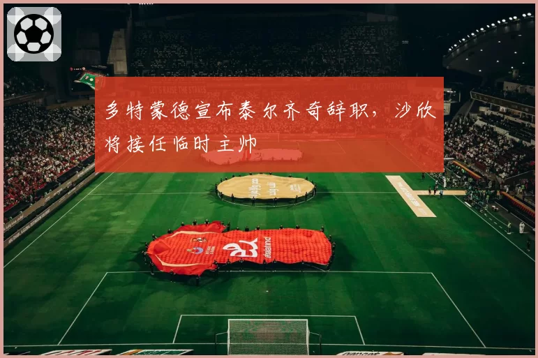 多特蒙德宣布泰尔齐奇辞职，沙欣将接任临时主帅