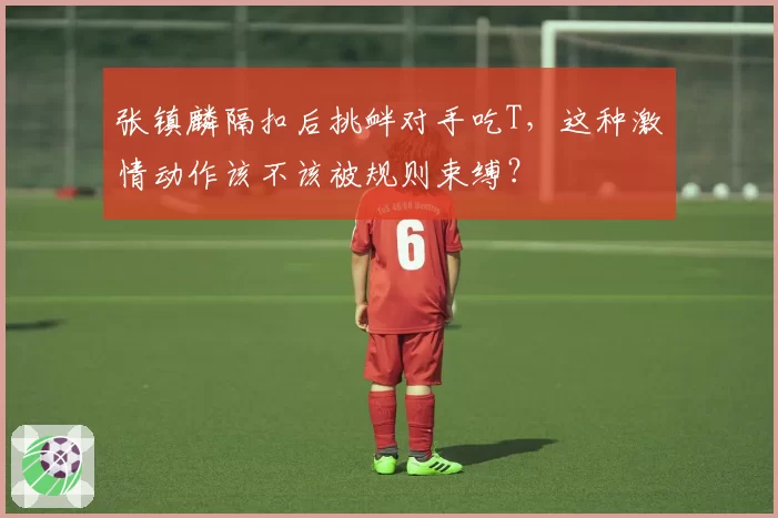 张镇麟隔扣后挑衅对手吃T,这种激情动作该不该被规则束缚?
